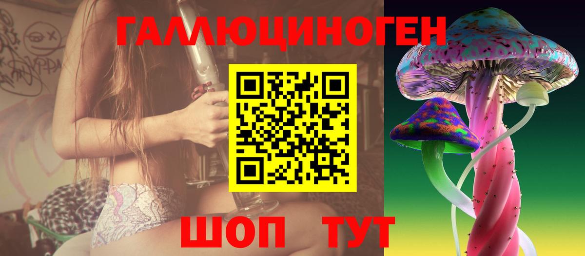 Галлюциногенные грибы Cubensis  Вход с VPN  Кулебаки 